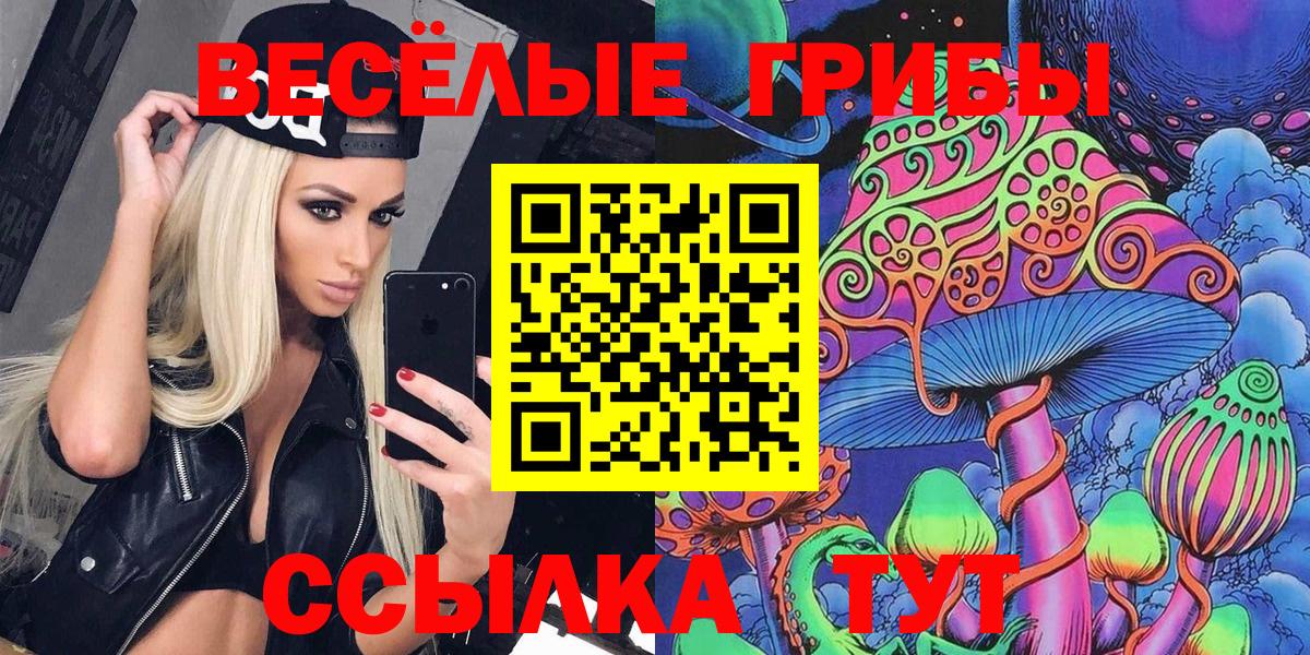 Псилоцибиновые грибы Psilocybine cubensis  Псилоцибиновые грибы мицелий  Чайковский  Вход с VPN 