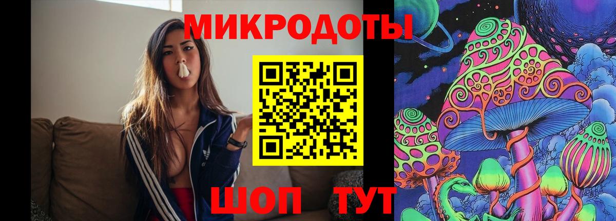 Галлюциногенные грибы Cubensis Чайковский