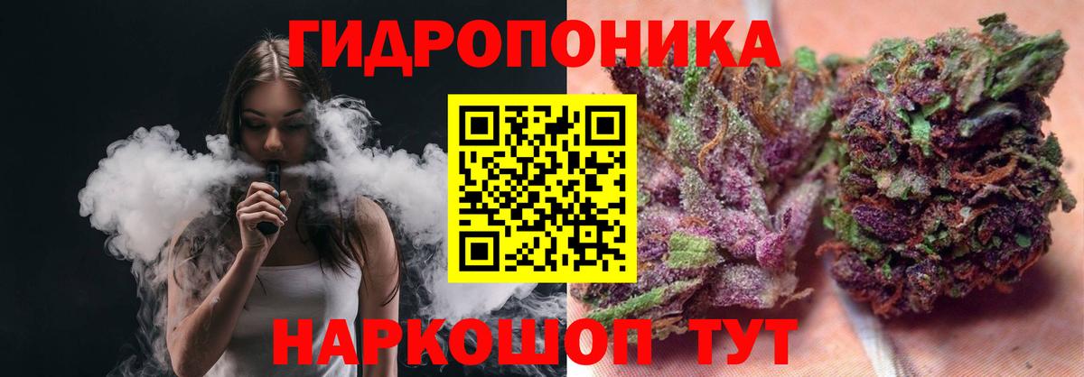 Каннабис гибрид Чайковский